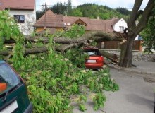 Kwikfynd Tree Cutting Services
cambrai