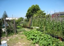 Kwikfynd Vegetable Gardens
cambrai